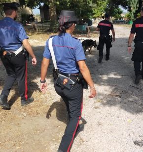 Roma, traffico di stupefacenti, in manette 15 pusher nelle principali piazze di spaccio