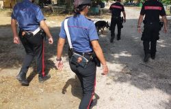 Carabinieri controlli antidroga