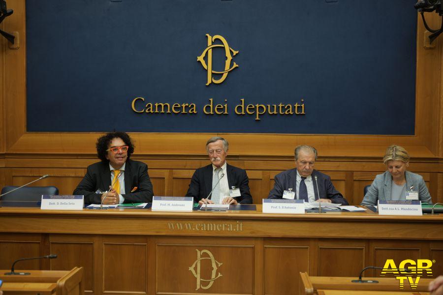 Convegno Camera Deputati su RSV Convegno Camera Deputati su RSV
