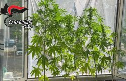Blitz antidroga a Roma: sette arresti in poche ore, sequestri di cocaina, marijuana, hashish e crack