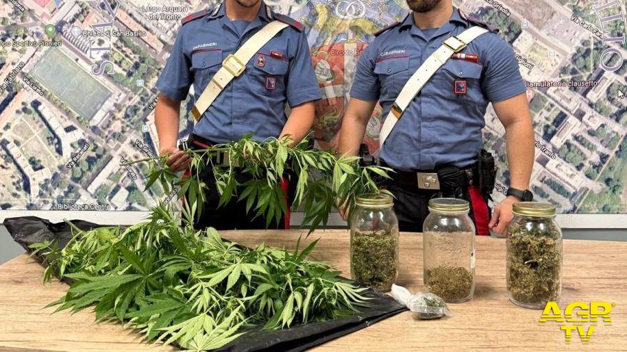 La droga e le piante di marijuana sequestrate dai Carabinieri della Compagnia Roma Montesacro La droga e le piante di marijuana sequestrate dai Carabinieri della Compagnia Roma Montesacro