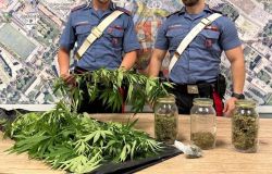 La droga e le piante di marijuana sequestrate dai Carabinieri della Compagnia Roma Montesacro