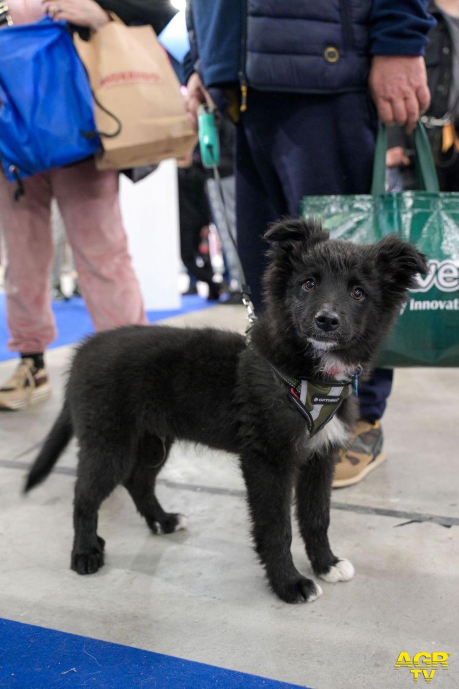 cani con il padrone foto da comunicato stampa
