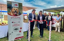 Fido Park Si Rinnova: Autogrill Rivoluziona la Sosta in Viaggio per gli Amici a Quattro Zampe