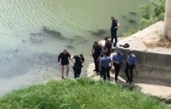Roma, ubriaco cade nel Tevere, salvato dai Carabinieri