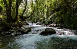 Crivu Festival patrimonio naturale il torrente
