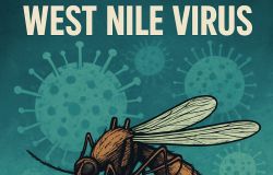 West Nile virus locandina da comunicato