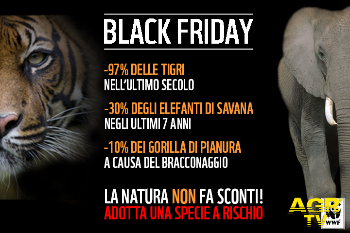 Black Friday, la natura non fa sconti