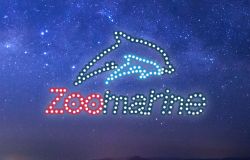 Il cielo sopra Zoomarine