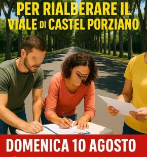 Infernetto, raccolta firme per nuove alberature su viale Castelporziano