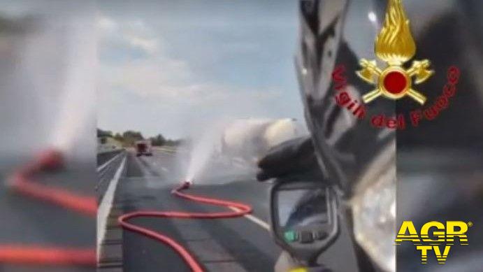 Sul posto operano vigili del fuoco, forze dell’ordine Sul posto operano vigili del fuoco, forze dell’ordine