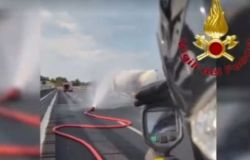 Sul posto operano vigili del fuoco, forze dell’ordine