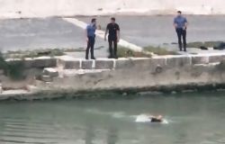 Roma, si getta dal Ponte Sisto, salvato a nuoto da due Carabinieri