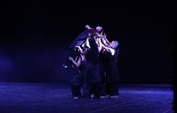 Festival di danza contemporanea: Dancescreen in the land 2025