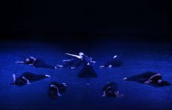 danza contemporanea Dancescreen in the land 2025 foto da comunicato stampa