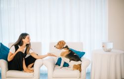 In vacanza con il migliore amico a quattro zampe: le migliori mete pet friendly in Italia