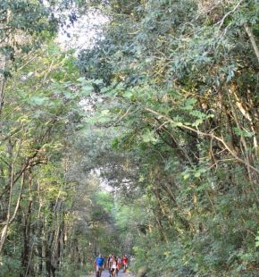 Parco nazionale del Circeo, passeggiate poetiche