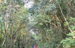 Parco nazionale del Circeo, passeggiate poetiche