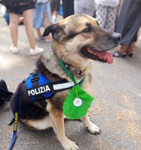 Rex, il poliziotto a quattro zampe.....ritira il premio Fedeltà