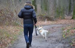 Cani e sostenibilità: oltre il 70% dei pet lover romani  sono sempre più attenti all’ambiente