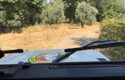 Protezione Civile Grottaferrata