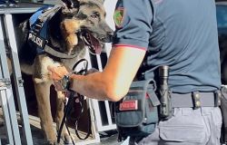 Roma, cocaina nascosta nel market tra i prodotti alimentari, caccia ai pusher in città, 9 arresti