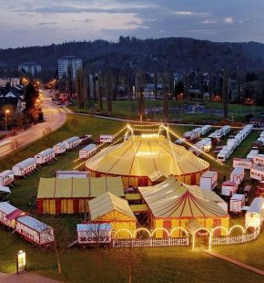 Nasce il Circo Etico, nel rispetto della tradizione circense e del benessere degli animali