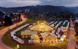 Nasce il Circo Etico, nel rispetto della tradizione circense e del benessere degli animali