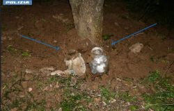 Polizia Civitavecchia i barattoli con la cocaina sequestrati