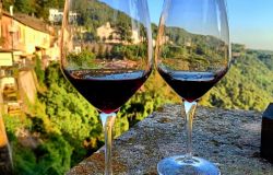 Nemi, dal 12 al 14 settembre torna Borgo diVino in tour