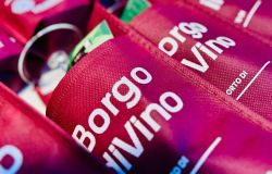 Evento Nemi Borgo diVino 2025