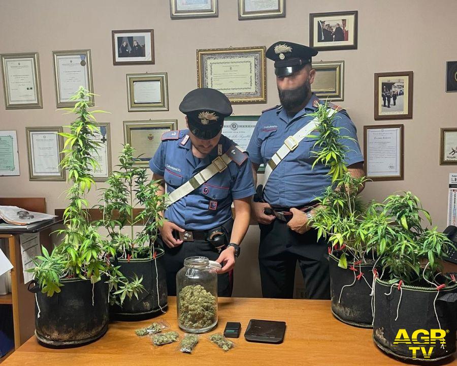 Carabinieri Monterotondo serra per coltivazione marjuana