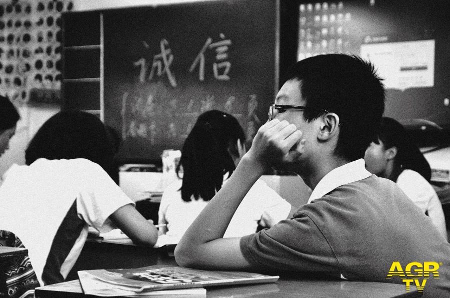 esami studenti foto pixabay esami studenti foto pixabay
