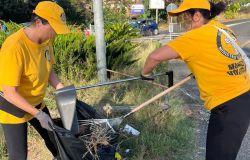 Roma, via della Maglianella, raccolta rifiuti e riqualificazione area verde