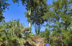 Casaletto di Giano rifacimento asfaltoe marciapiede  sottovia e marciapiede
