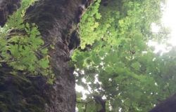 Lazio, parchi naturali protagonisti