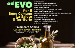 Insieme ad Evo, parte da Palombara Sabina il progetto oleoturistico di valorizzazione del territorio