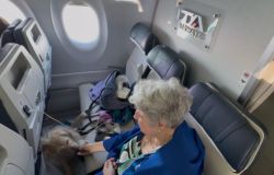 ITA Airways, con il cane in cabina, primo volo dimostrativo