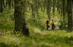 Il futuro del Turismo? è sulle due ruote grazie all'eBike, protagonista di una nuova idea di viaggio