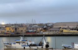 Tavoli del mare il porto canale di Fiumicino