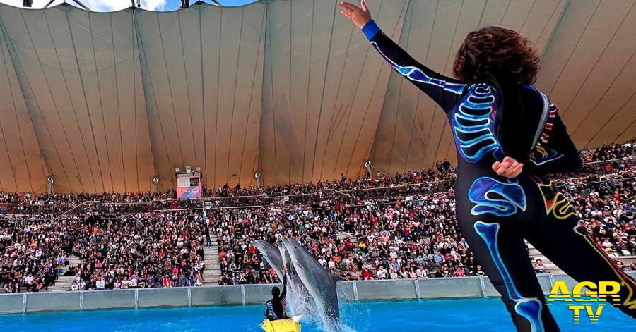 Zoomarine halloween tra divertimento e paura. La vasca dei delfini