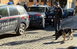 Roma Quarticciolo, operazione dei Carabinieri....scacco matto ai pusher