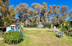 Associazione La Farfalla