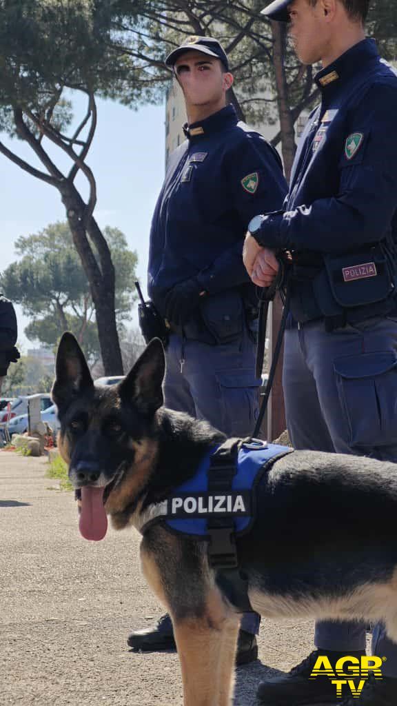 Polizia Argo il canepoliziotto utilizzato per le ricerche Polizia Argo il canepoliziotto utilizzato per le ricerche