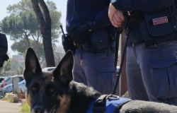Roma Quarticciolo, operazione antidroga della Polizia, Argo smaschera i pusher e scopre un deposito di crack