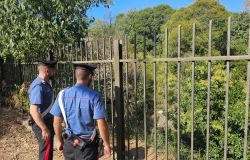 Blitz antidroga a Roma: 15 arresti