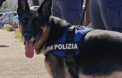 Attività di “alto impatto investigativo” coordinata da SCO e ADM contro giochi e scommesse illegali