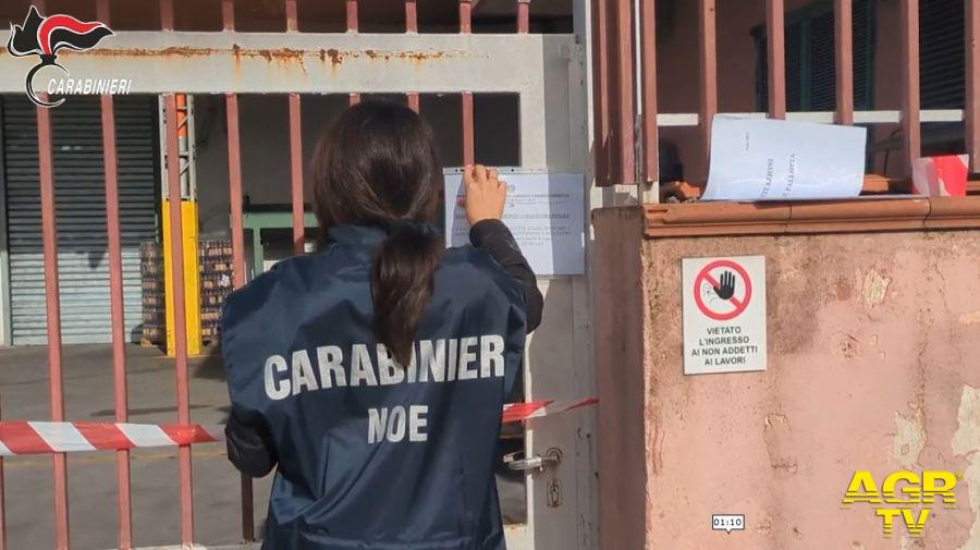 Cimitile: sequestrata discarica abusiva dal NOE dei Carabinieri Cimitile: sequestrata discarica abusiva dal NOE dei Carabinieri
