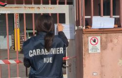 Cimitile: sequestrata discarica abusiva dal NOE dei Carabinieri Cimitile: sequestrata discarica abusiva dal NOE dei Carabinieri