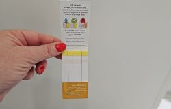 Roma, violenza sulle donne:  a novembre nelle farmacie test gratuiti per rilevare sostanze stupefacenti nei drink